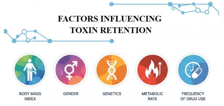 Factors influencing toxin retention